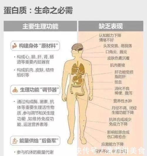 招募令｜记忆包裹项目志愿者招募诚邀您一同守护长者记忆(图1)